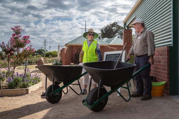 Two volunteers with wheelbarrows preparing for gardening tasks at Mornington Botanical Rose Gardens on a sunny day
